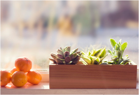 Fresh herbs
