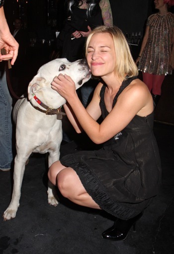 Piper Perabo the Pedigree Halloween Party