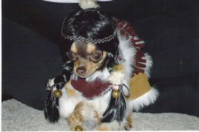 Pocahontas dog