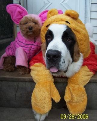 Pooh Bear and Piglet dogs