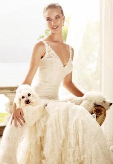 Pronovias 