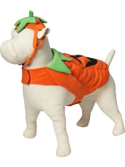 Pumpkin Pet Costume