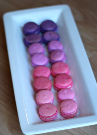Purple ombre macarons 
