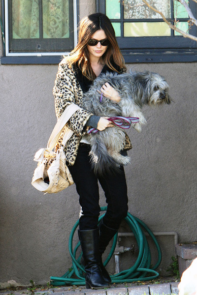 Rachel Bilson carries her pet pup