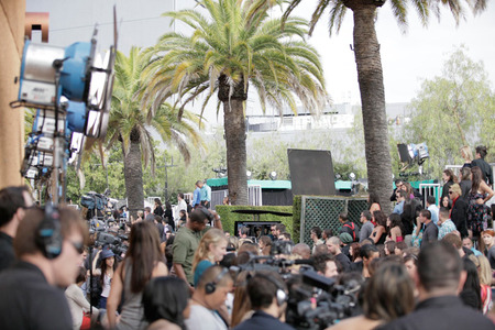 Red carpet madness