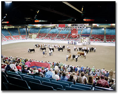 Royal Agricultural Winter Fair