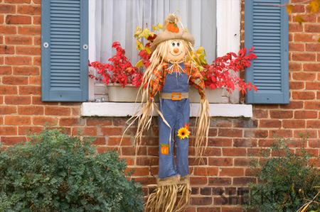 Not-so-scary scarecrow