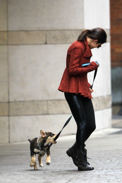 Selena Gomez walking her dog