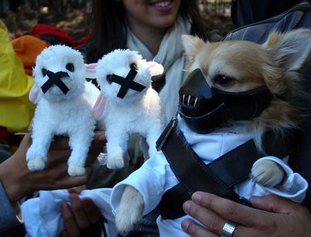 Hannibal Hound
