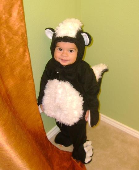 Silly Skunk