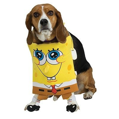 SpongeBob SquarePants Pet Costume
