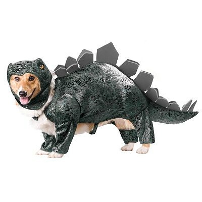 Stegosaurus Pet Costume