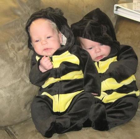 Bumble bees
