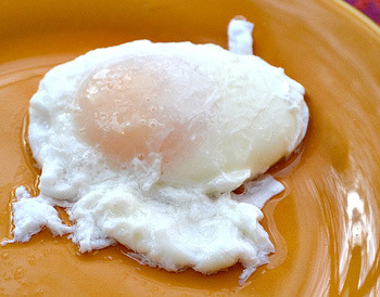 Poach an egg