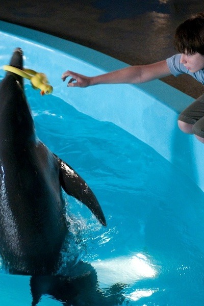 No. 10 -- Dolphin Tale