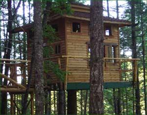 Treehouse Paradise - Southern Oregon - Cabin