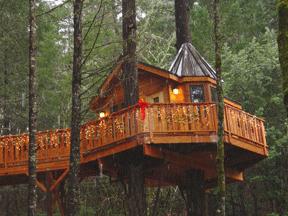 Treehouse Paradise - Southern Oregon - Calypso