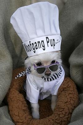 Wolfgang Pup on the scene.
