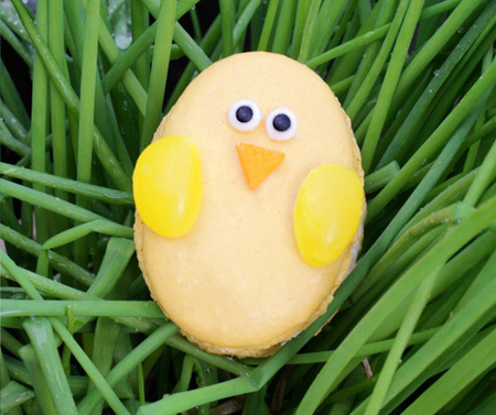 Yellow chick macaron 