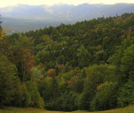 New Hampshire