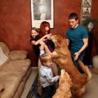 Meet Stacie and family