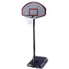 Lifetime Portable Basketball Hoop