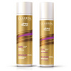 Clairol Professional Curly Daily 