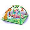 Fisher-Price Rainforest Melodies and Lights Deluxe