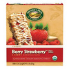 Nature's Path Organic Chewy Granola Bars