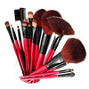 Shany Professional Brush Set