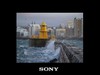 Sony DPF-V1000 10 inch Digital Photo Frame