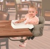 Summer Infant Take Two Booster Seat