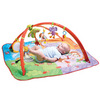 Tiny Love Gymini Move and Play Activity Gym