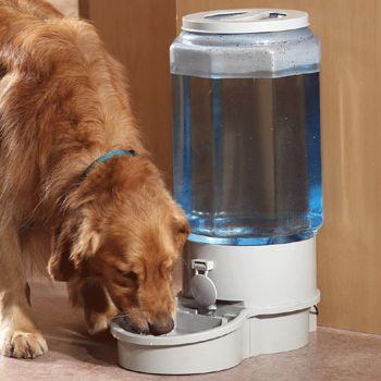 Home > Gifts > Pets > Pet gifts & accessories