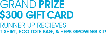 Grand Prize is $300