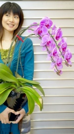 Houseplants
