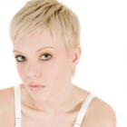 Platinum PIxie 