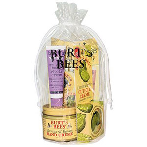 Burt's Bees Hand Repair Kit