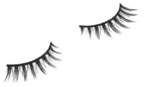 Little Flirt Lash