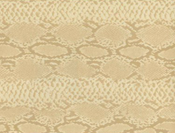 Snakeskin wallpaper