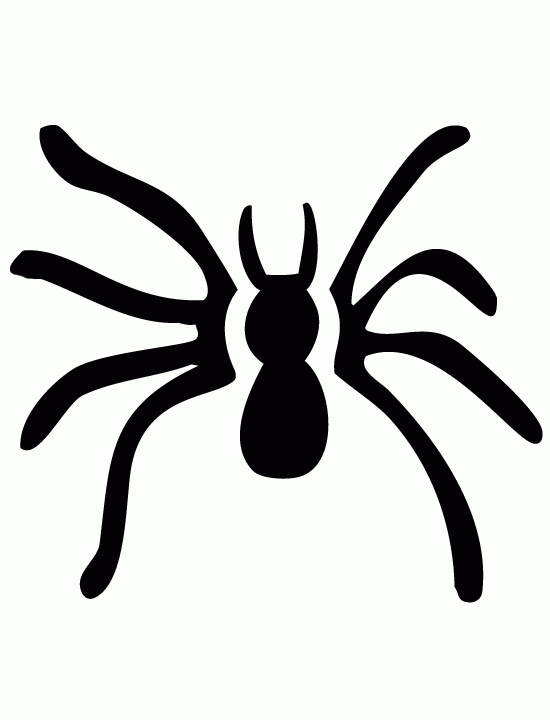 Pumpkin Stencil Spider