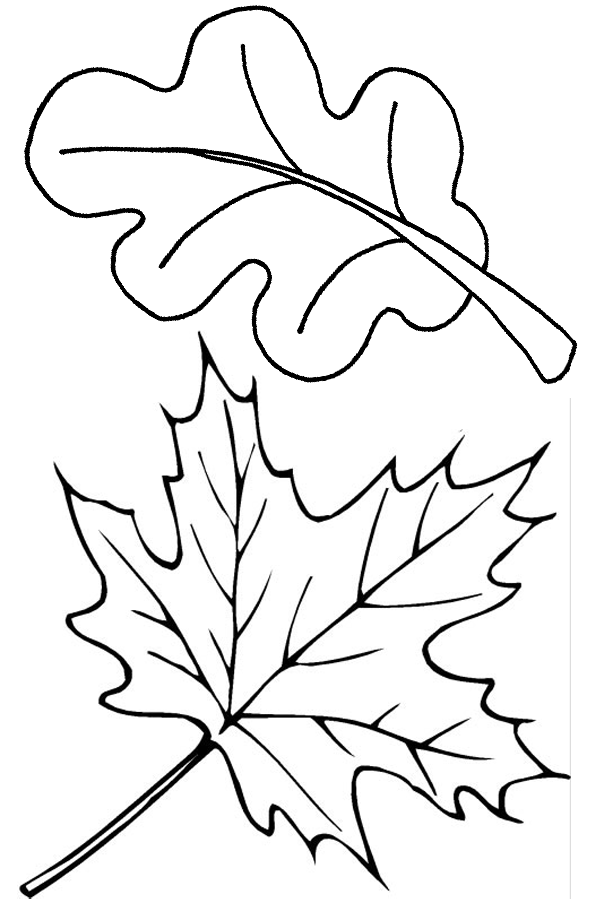 Autumn Coloring Pages Fall Leaves