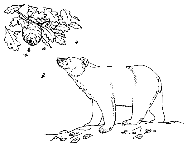 black bear coloring pages printable - photo #4