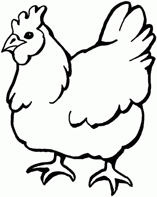 Roosterchicken Free Printable Coloring Pages