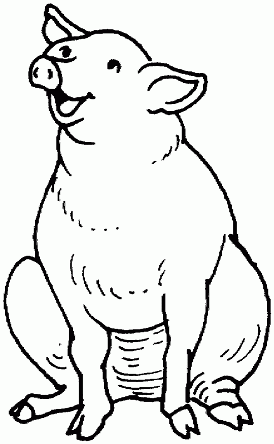 year of the pig coloring pages - photo #7