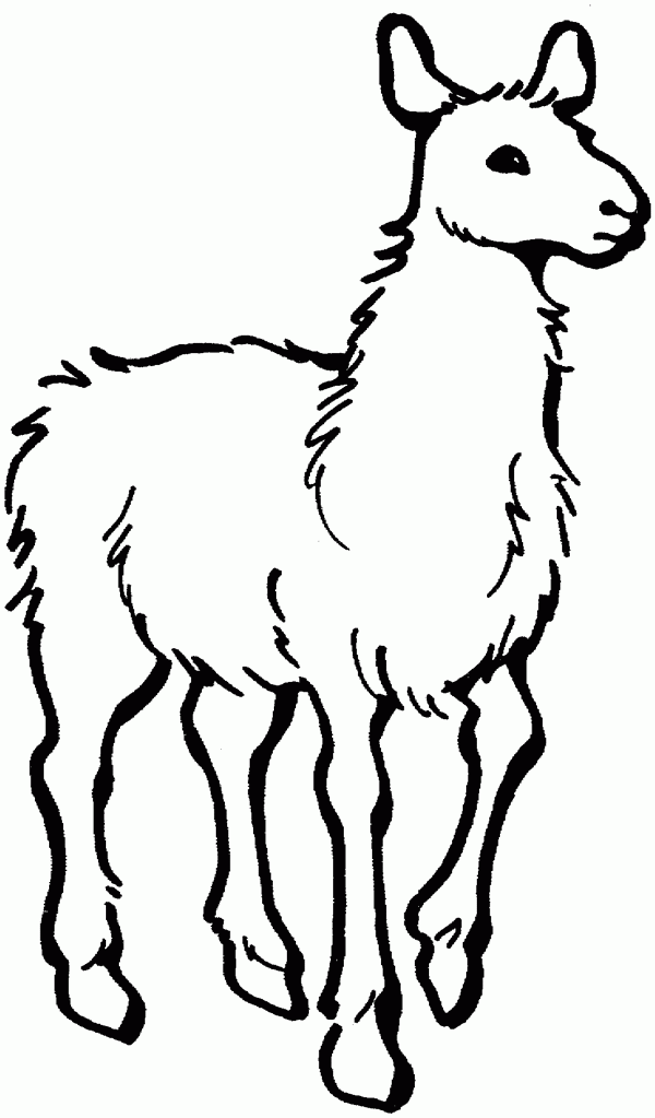 llama-coloring-pages-to-download-and-print-for-free