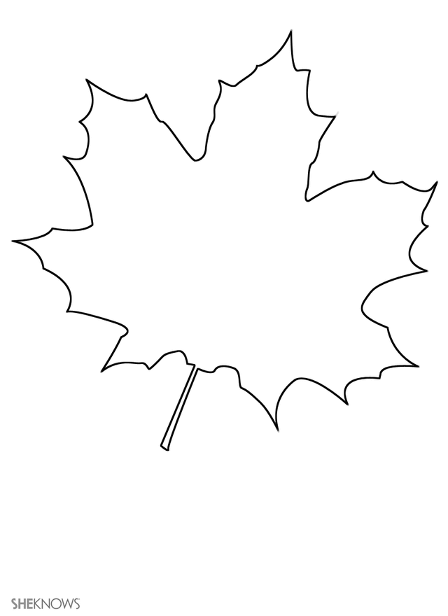 Untitled Canadian Maple Leaf To Color