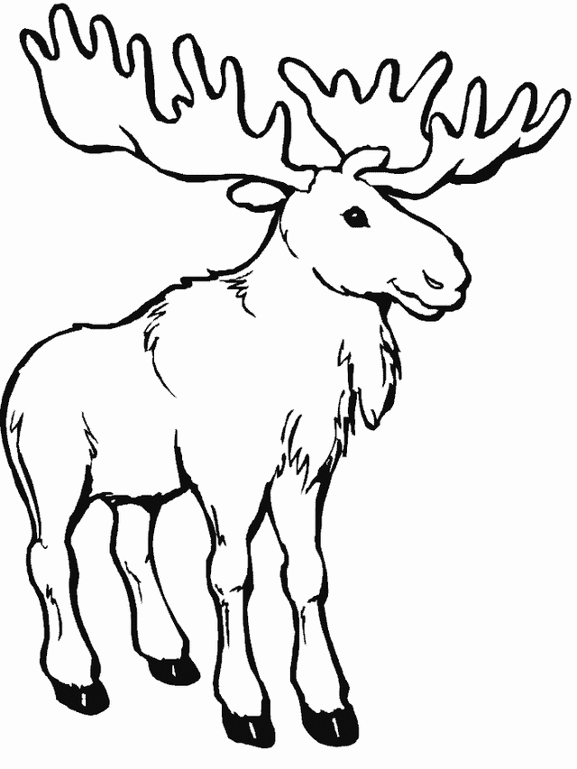 Moose coloring page Free Printable Coloring Pages
