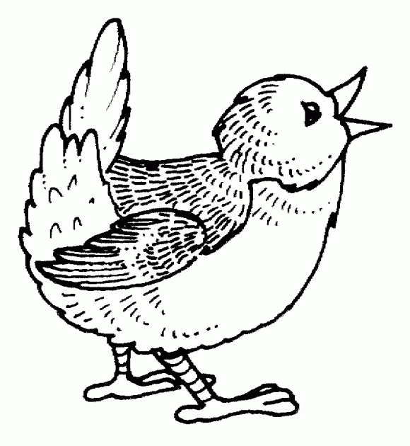 Animal coloring pages for kids: Singing bird