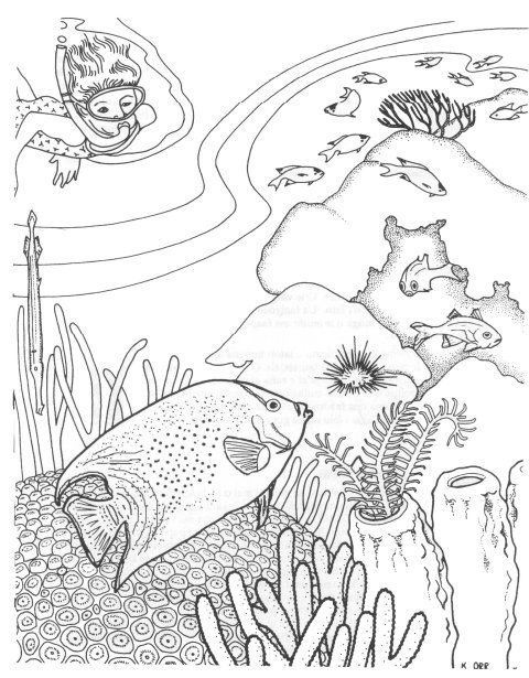 ocean coloring pages for older kids - photo #32